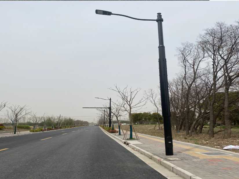 都江堰市上海综合杆 太阳能路灯工程